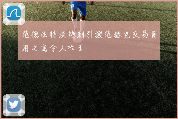 范德法特谈热刺引援范赫克交易费用之高令人咋舌